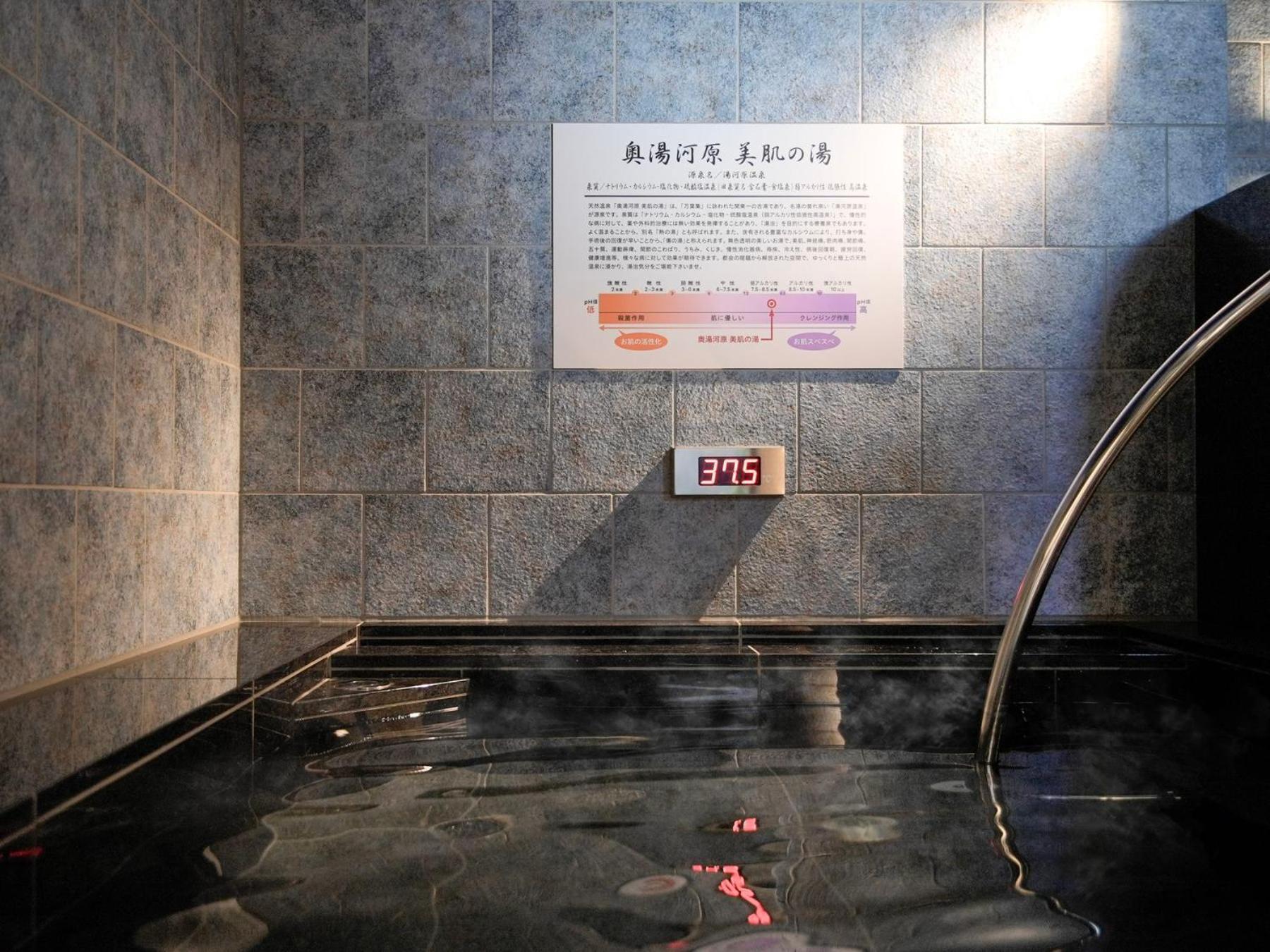 Super Hotel Premier Ikebukuro Natural Hot Spring Tokio Zewnętrze zdjęcie